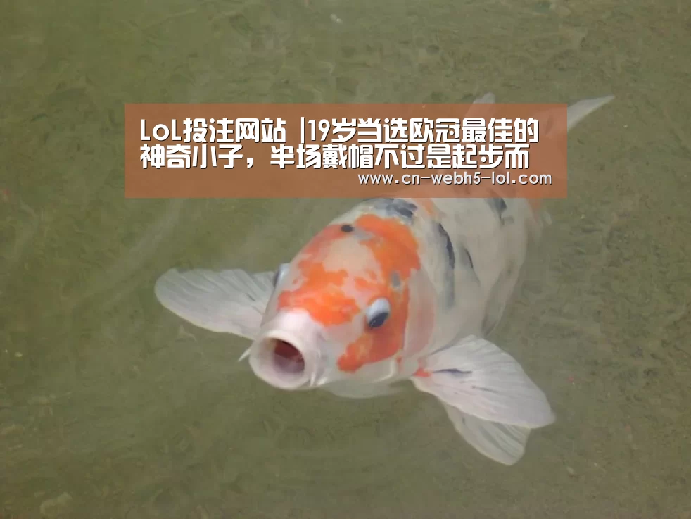  2026年最佳英雄联盟投注网站