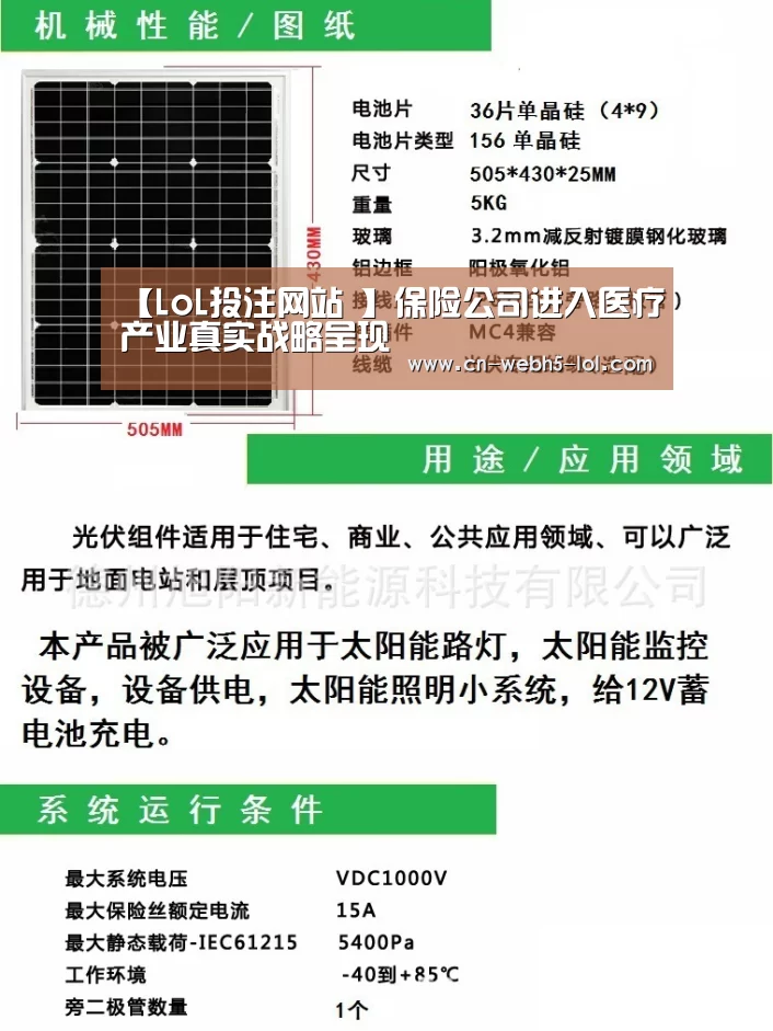 LoL投注网站 
