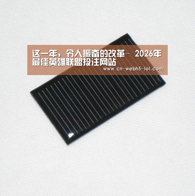这一年,令人振奋的改革- 2026年最佳英雄联盟投注网站(图1) LoL投注网站
